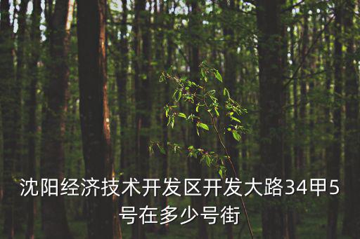 沈陽經(jīng)濟技術(shù)開發(fā)區(qū)開發(fā)大路34甲5號在多少號街