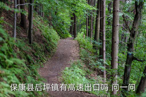 保康縣后坪鎮(zhèn)有高速出口嗎 問一問