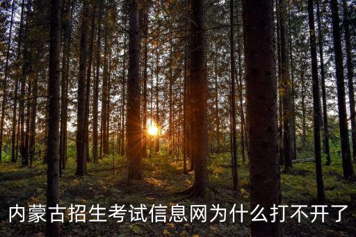 內(nèi)蒙古招生考試信息網(wǎng)為什么打不開了