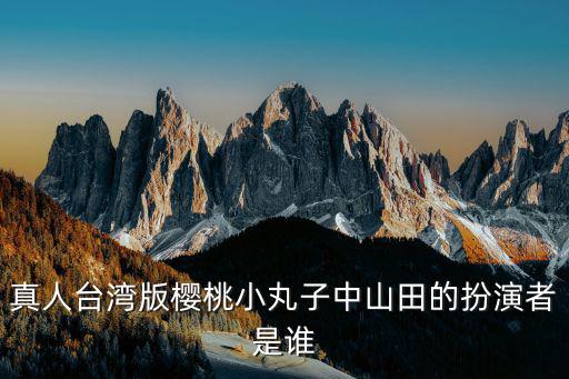 臺(tái)灣小丸子，臺(tái)灣麥當(dāng)勞 小丸子