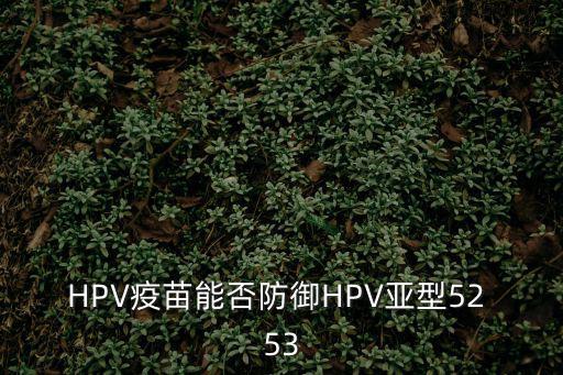 HPV疫苗能否防御HPV亞型52 53