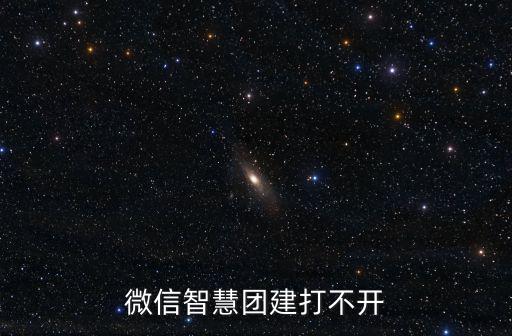 微信智慧團建打不開