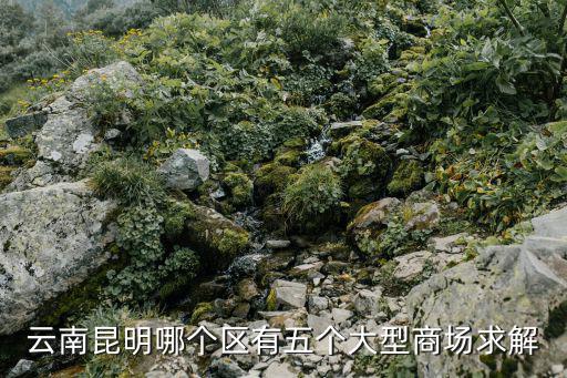 云南昆明哪個區(qū)有五個大型商場求解