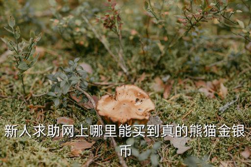 中國金幣網上商城，金幣商城是真的嗎