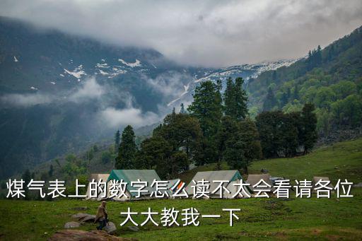 煤氣表上的數字怎么讀不太會看請各位大大教我一下