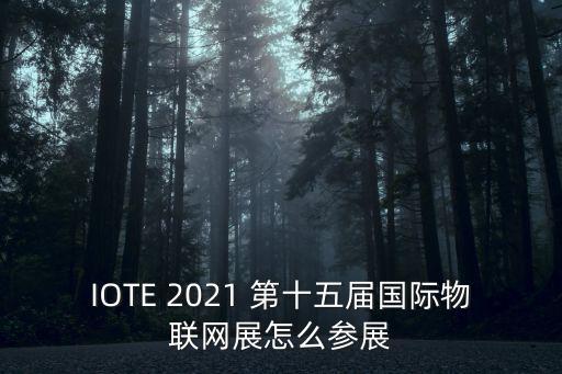 IOTE 2021 第十五屆國際物聯(lián)網(wǎng)展怎么參展