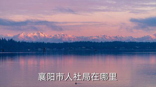 襄陽市人社局在哪里