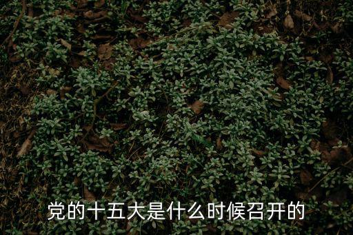 黨的十五大是什么時(shí)候召開(kāi)的