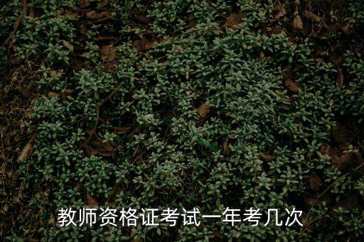 教資一年考幾次，教師資格證報名一年幾次都是什么時間