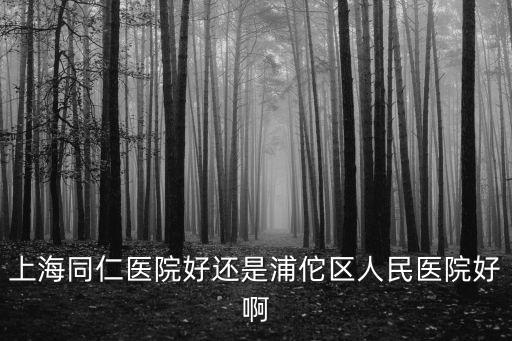 上海同仁醫(yī)院好還是浦佗區(qū)人民醫(yī)院好啊