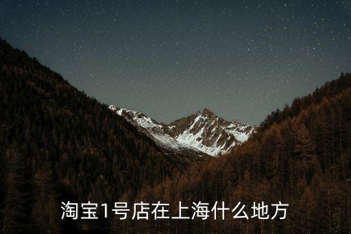 淘寶1號店在上海什么地方