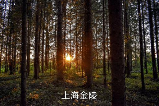 上海金陵