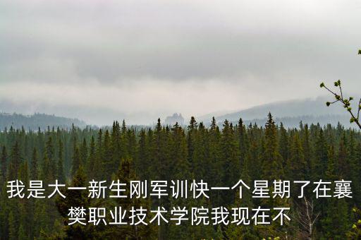 我是大一新生剛軍訓快一個星期了在襄樊職業技術學院我現在不