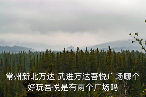 常州新北萬達 武進萬達吾悅廣場哪個好玩吾悅是有兩個廣場嗎