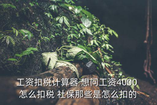 工資扣稅計算器 想問工資4000 怎么扣稅 社保那些是怎么扣的