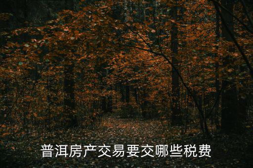 普洱房產交易要交哪些稅費