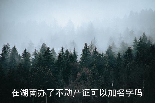 湖南不動產(chǎn)，不動產(chǎn)位于淚羅市和長沙縣兩地交界處在正常情況下權(quán)利人應(yīng)當(dāng)向