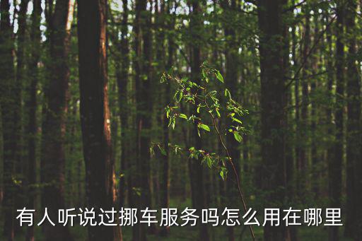 有人聽說過挪車服務嗎怎么用在哪里