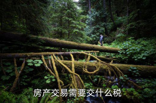房產交易需要交什么稅