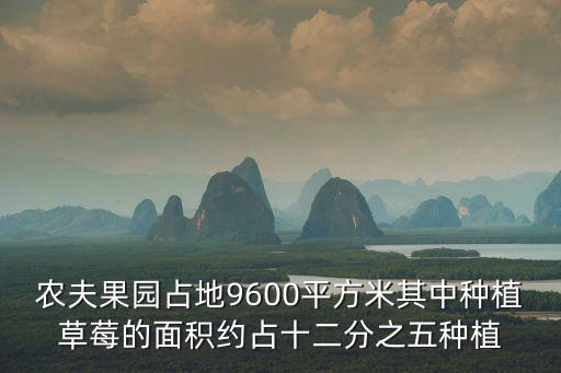 農(nóng)夫果園占地9600平方米其中種植草莓的面積約占十二分之五種植