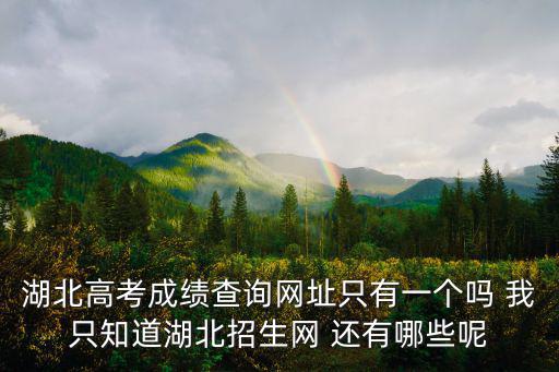 湖北高考成績(jī)查詢網(wǎng)址只有一個(gè)嗎 我只知道湖北招生網(wǎng) 還有哪些呢