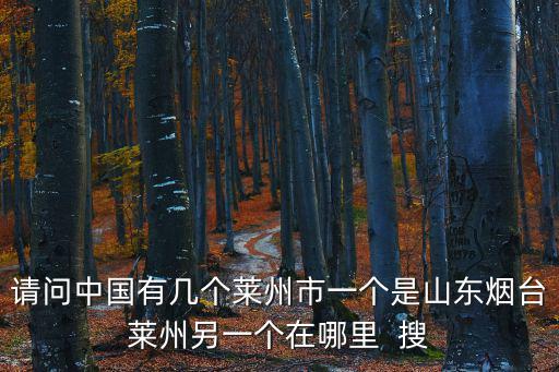 請問中國有幾個萊州市一個是山東煙臺萊州另一個在哪里  搜