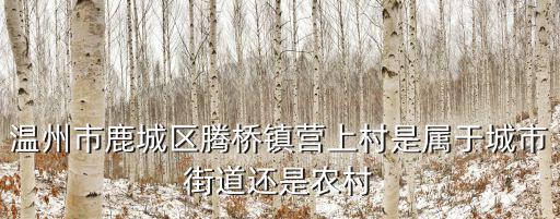 溫州市鹿城區(qū)騰橋鎮(zhèn)營上村是屬于城市街道還是農(nóng)村
