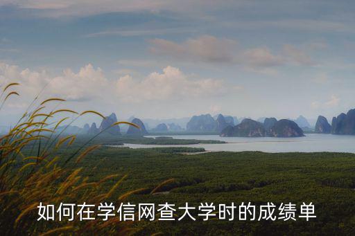 如何在學(xué)信網(wǎng)查大學(xué)時(shí)的成績(jī)單