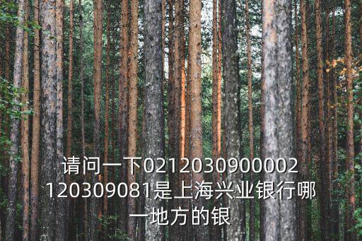 請問一下0212030900002120309081是上海興業銀行哪一地方的銀