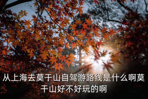 從上海去莫干山自駕游路線是什么啊莫干山好不好玩的啊