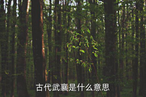 武襄，趙宋王朝的武將以武開頭謚號的除了狄青武襄曹彬武惠