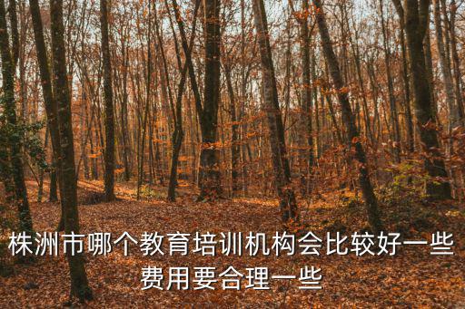 株洲市哪個教育培訓(xùn)機構(gòu)會比較好一些費用要合理一些