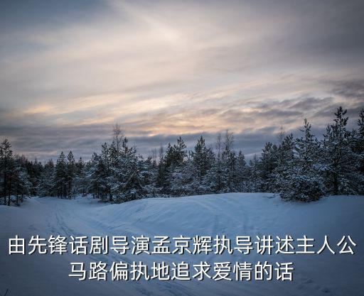由先鋒話劇導(dǎo)演孟京輝執(zhí)導(dǎo)講述主人公馬路偏執(zhí)地追求愛情的話