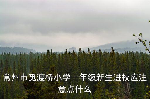 常州市覓渡橋小學一年級新生進校應注意點什么