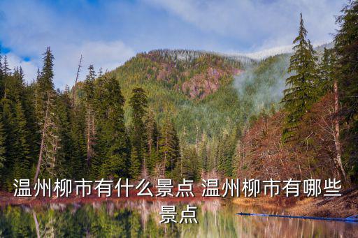 溫州柳市，溫州柳市與白象是交界嗎
