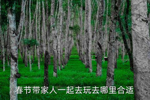 春節帶家人一起去玩去哪里合適