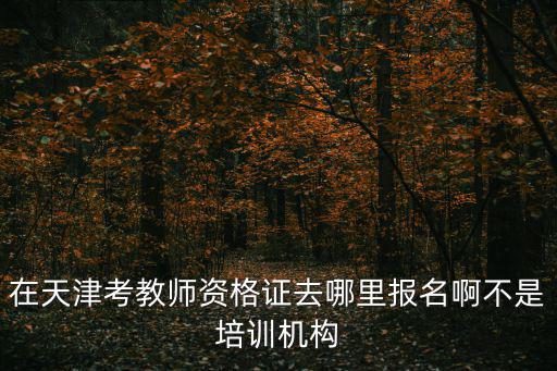 在天津考教師資格證去哪里報名啊不是培訓機構