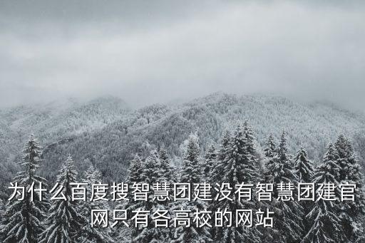 智慧團(tuán)建登陸官網(wǎng)，智慧團(tuán)建為什么登錄不上總是出現(xiàn)身份證或者密碼錯(cuò)誤的