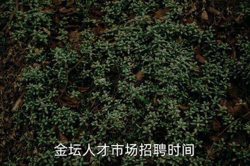 金壇人才市場招聘時間