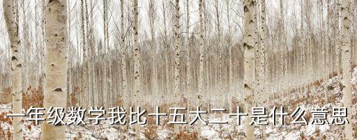 一年級(jí)數(shù)學(xué)我比十五大二十是什么意思
