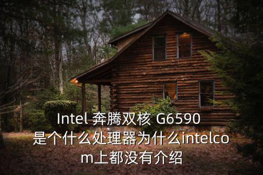 g6987，Intel 奔騰雙核 G6590 是個什么處理器為什么intelcom上都沒有介紹