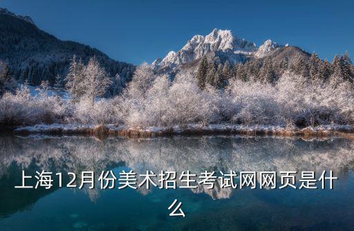 上海12月份美術(shù)招生考試網(wǎng)網(wǎng)頁是什么