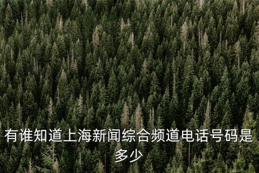 有誰知道上海新聞綜合頻道電話號(hào)碼是多少
