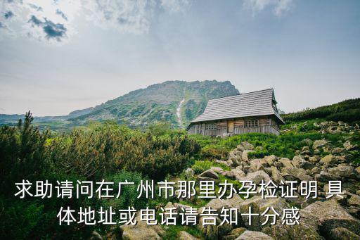 求助請問在廣州市那里辦孕檢證明 具體地址或電話請告知十分感