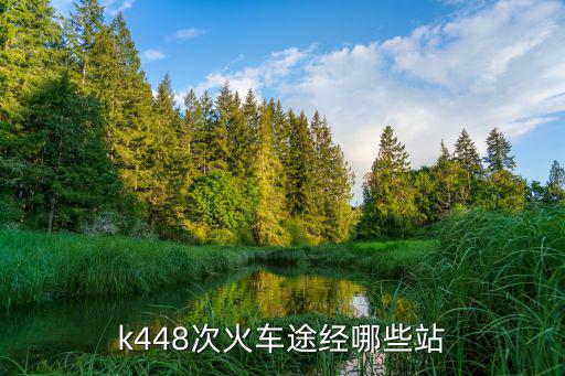 k445，k445次列車5車廂25號靠窗嗎