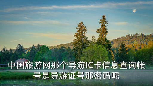 中國旅游網那個導游IC卡信息查詢帳號是導游證號那密碼呢