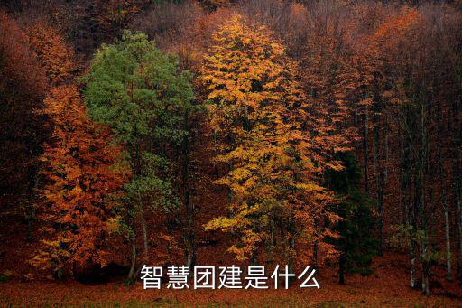 智慧團結，力量從團結來智慧從勞動來什么意思