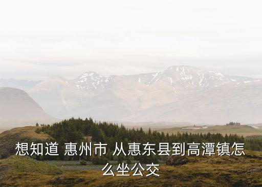 想知道 惠州市 從惠東縣到高潭鎮(zhèn)怎么坐公交