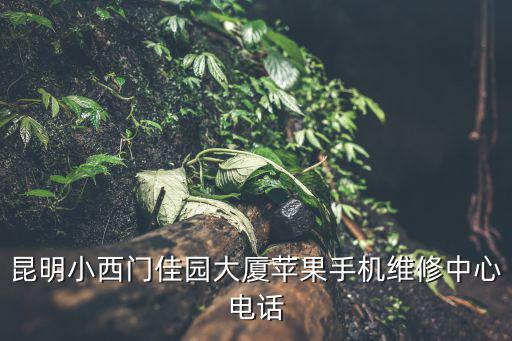 昆明小西門佳園大廈蘋果手機維修中心電話
