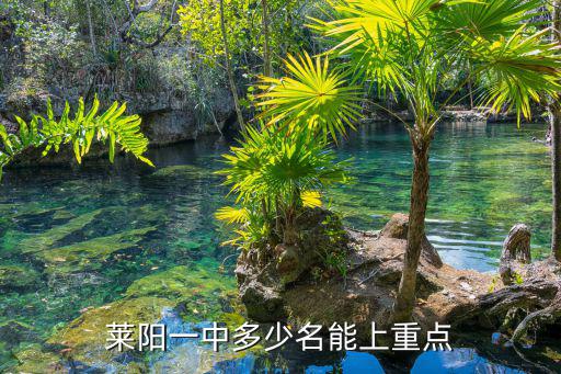 萊陽一中多少名能上重點